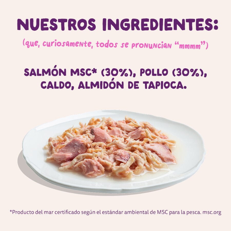 70 g Edgard & Cooper Filetes de Salm&oacute;n y Pollo Lata para gatos, , large indicador imagen numero 6