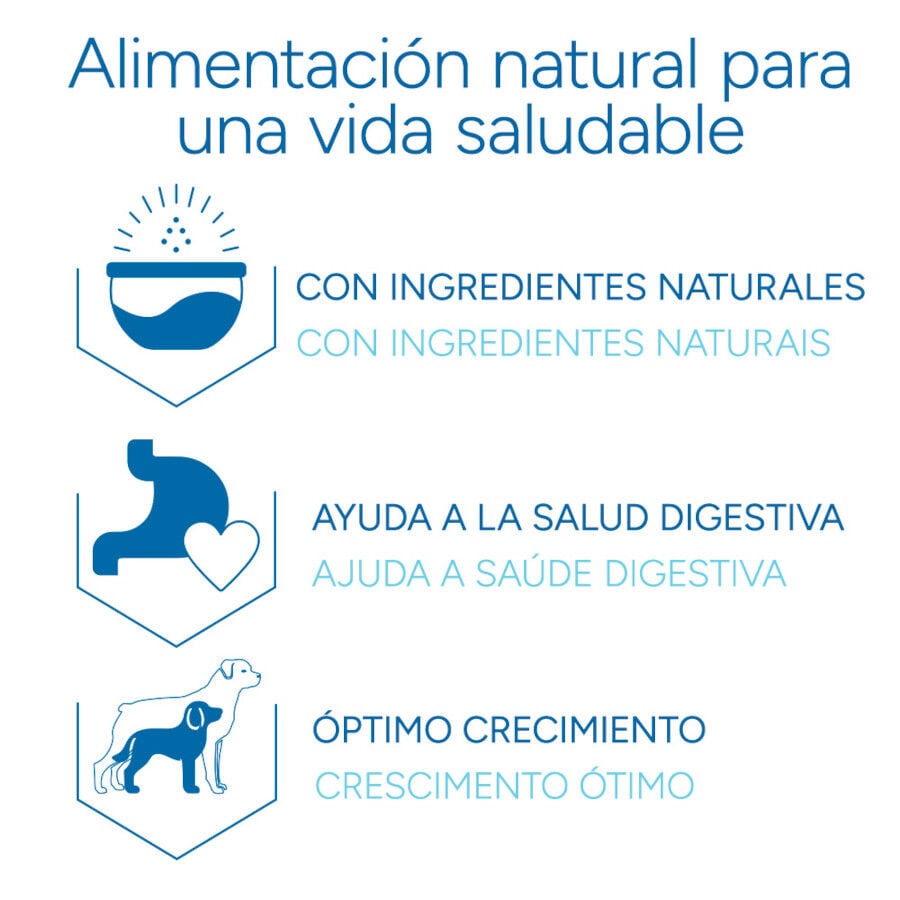 12 kg Criadores Cient&iacute;fico Medium Maxi Pienso Pollo para cachorros, , large Imagen numero 6