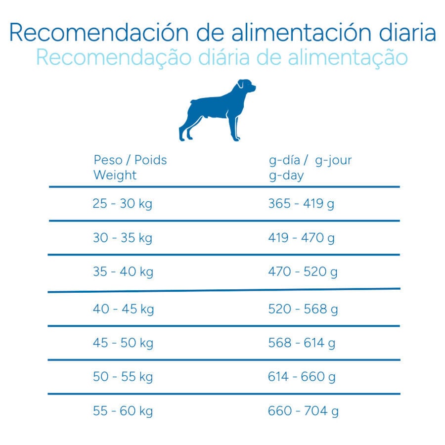 12 kg Criadores Cient&iacute;fico Adulto Maxi Pienso Pollo para perros, , large Imagen numero 9