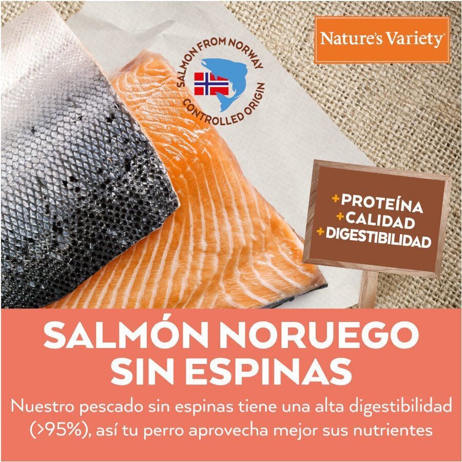 12 kg (10 + 2 kg &iexcl;gratis!) Nature's Variety No Grain Adult Medium Maxi Salm&oacute;n pienso para perros, , large indicador imagen numero 2