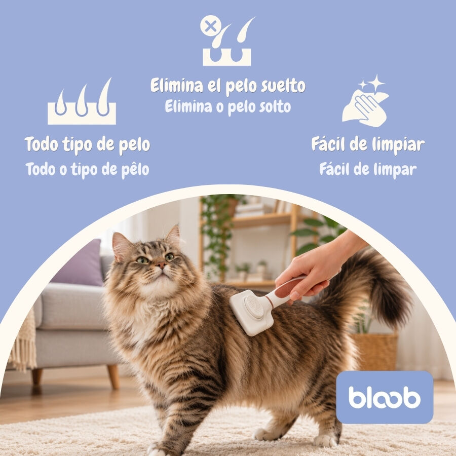 Bloob Cepillo Carda Autolimpiante para gatos, , large Imagen numero 3
