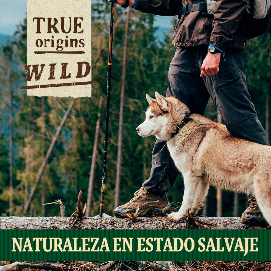 70 g. True Origins Surtido Pescados Snack para perros, , large Imagen numero 7