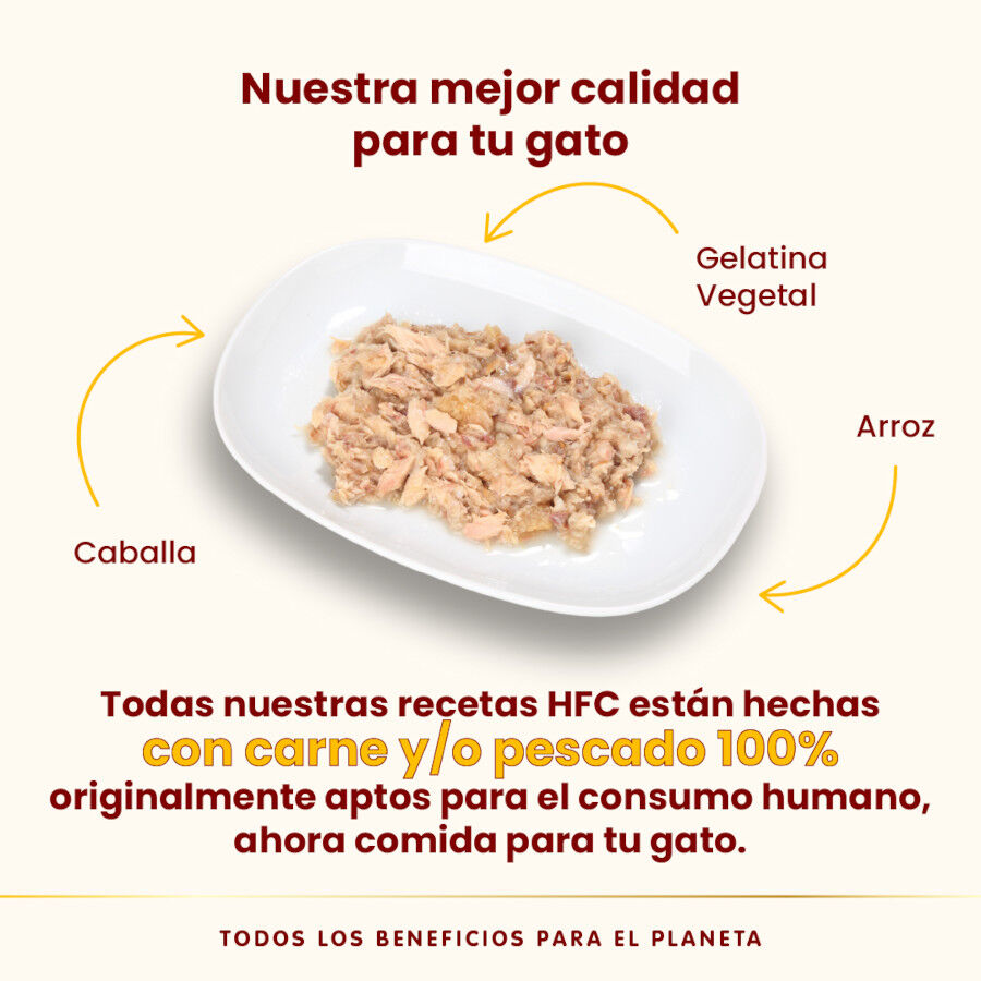 70 g Almo Nature HFC caballa lata en gelatina para gatos , , large Imagen numero 3