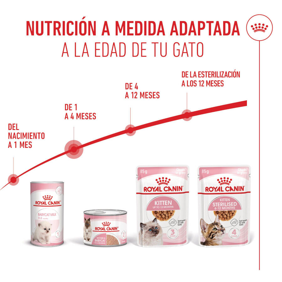195 g Royal Canin Mother & Baby mousse latas para gatos, , large indicador imagen numero 6