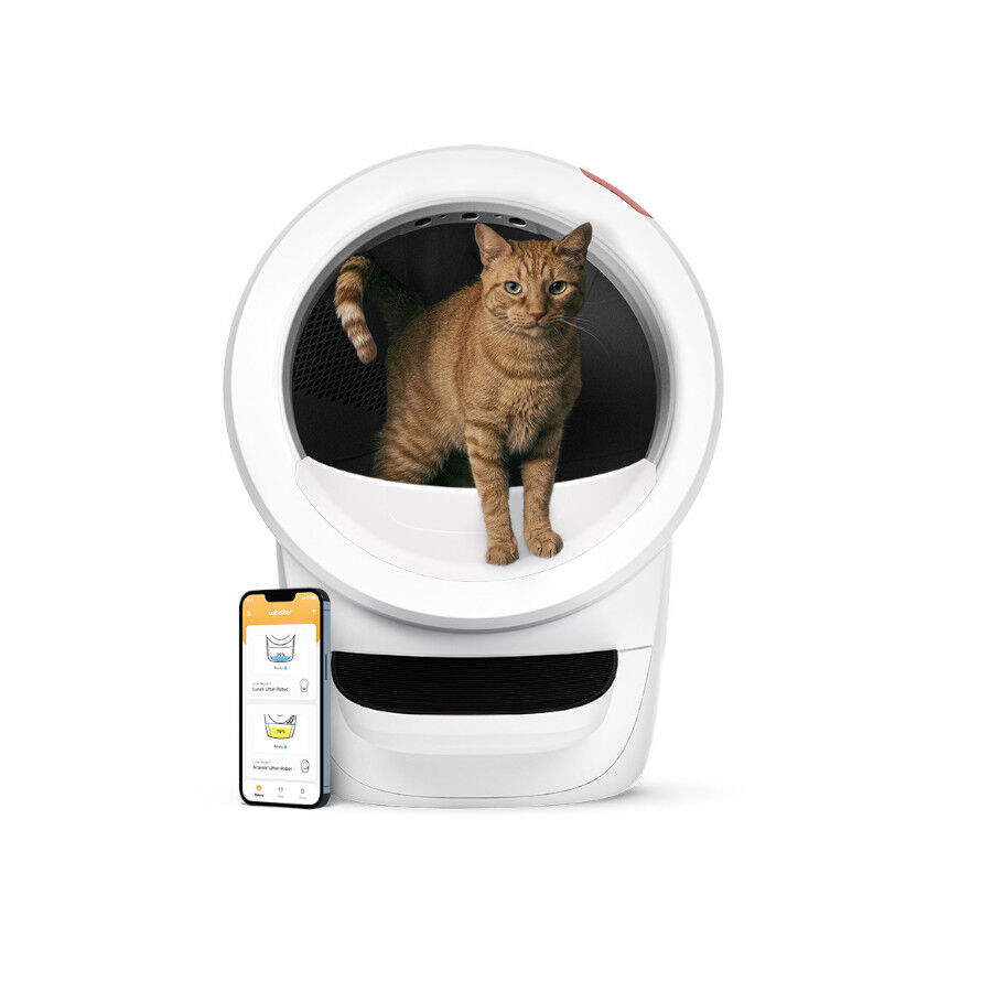 Litter-Robot Arenero Autolimpiable Blanco para gatos
