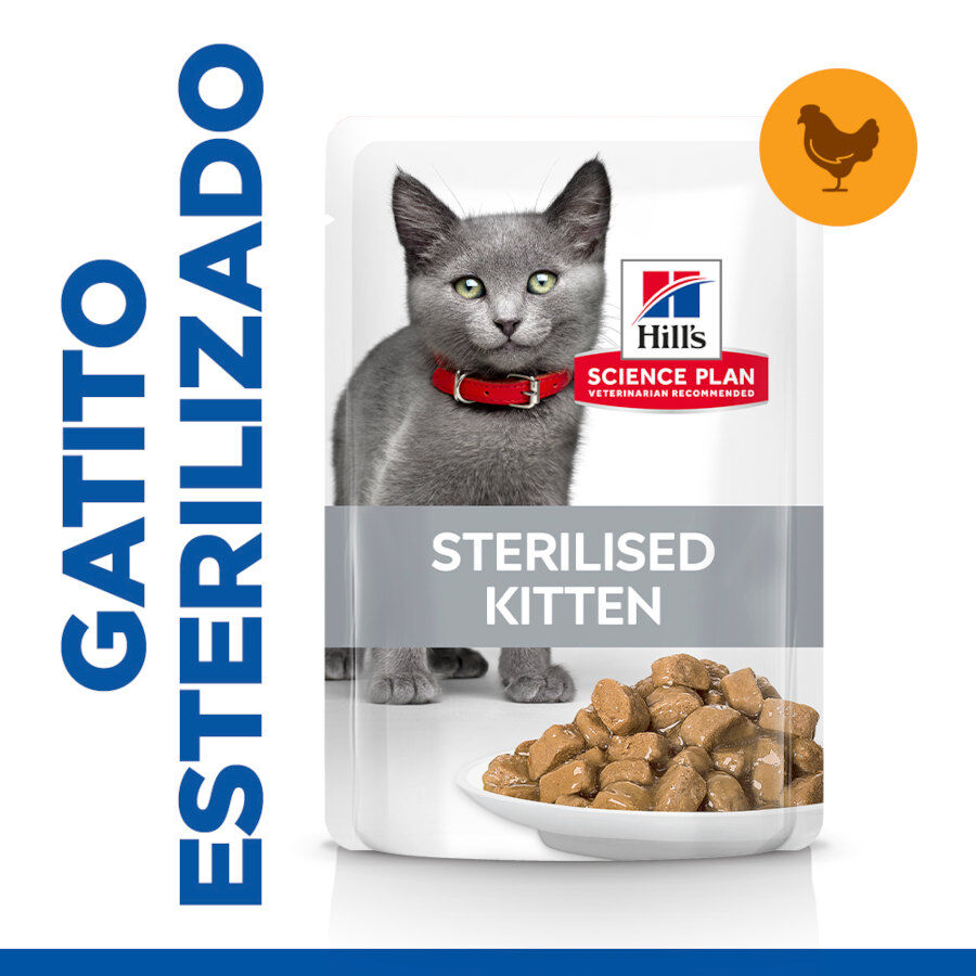 12 sobres x 85 g Hill's Science Plan Feline Sterilised Kitten Pollo en Salsa sobre para gatos, , large indicador imagen numero 2