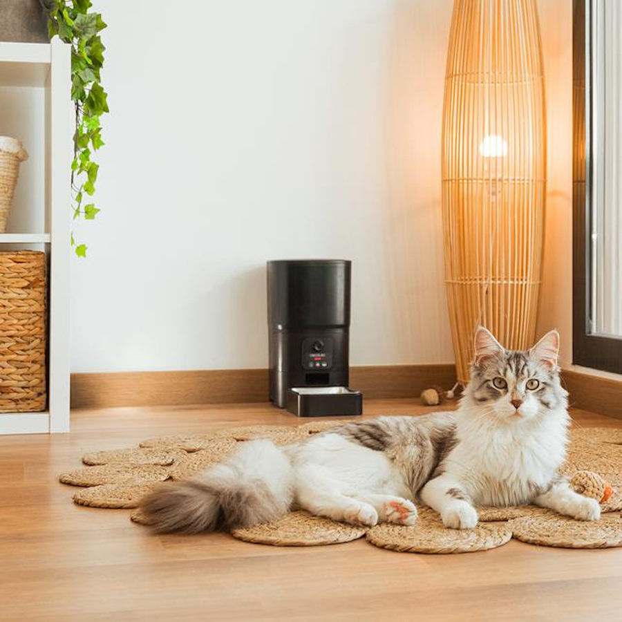Cecotec Pumba 6000 Purrfect Meal Smart Vision Comedero Autom&aacute;tico para perros y gatos, , large Imagen numero 8