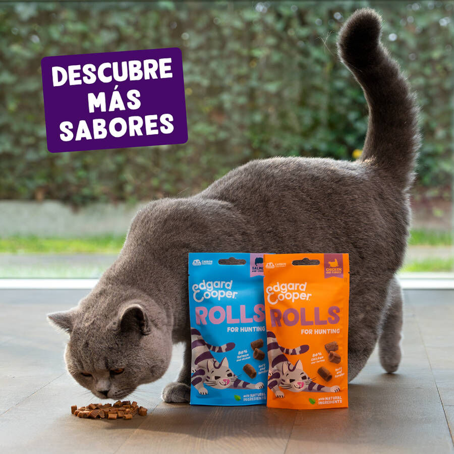 45 g Edgard & Cooper Rollitos Salm&oacute;n y Pollo para gatos, , large Imagen numero 6