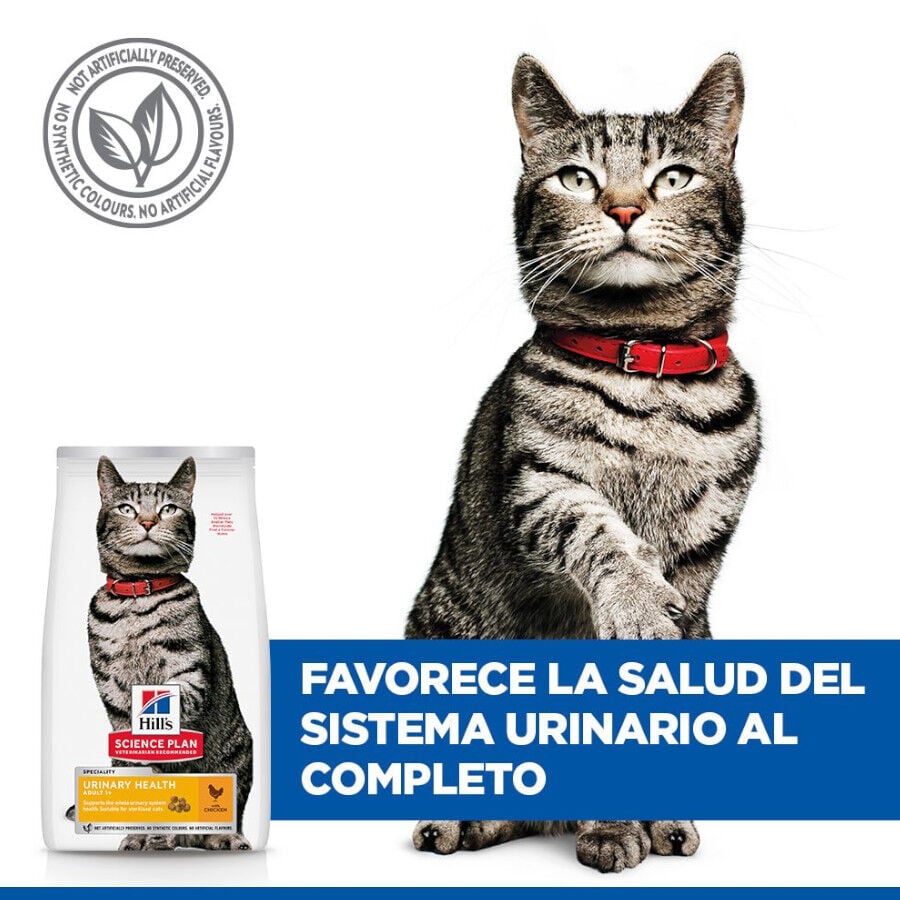 1.5 kg Hill's Urinary Pollo pienso para gatos, , large Imagen numero 6