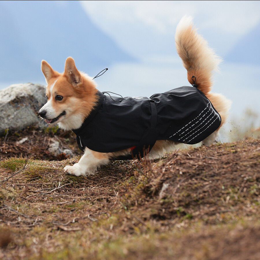Non-stop dogwear Fjord Chubasquero Impermeable Negro para perros, , large indicador imagen numero 2