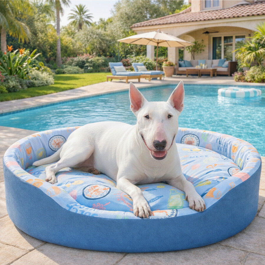 Summer Vibes Cama Refrescante para perros, , large Imagen numero 1