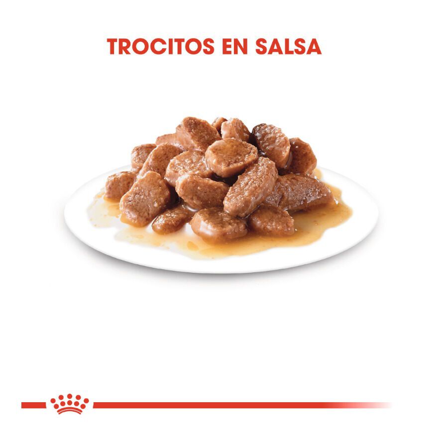 85 g Royal Canin Instinctive sobres en salsa para gatos, , large Imagen numero 4