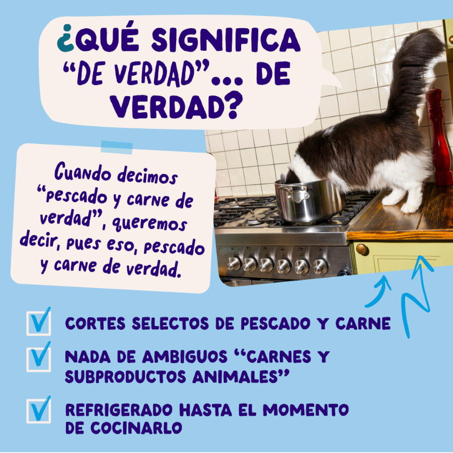 12 x 85 g Edgard & Cooper Selecci&oacute;n Captura del D&iacute;a sobre en salsa para gatos, , large indicador imagen numero 5