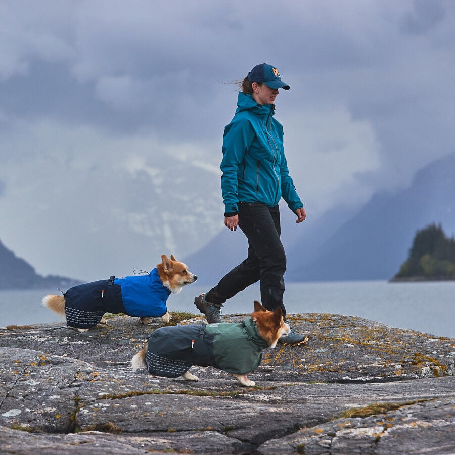 Non-stop dogwear Fjord Chubasquero Impermeable Azul para perros, , large indicador imagen numero 2
