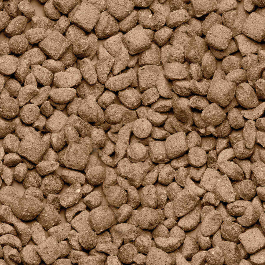Beaphar Care+ H&aacute;mster alimento para h&aacute;msteres, , large indicador imagen numero 2