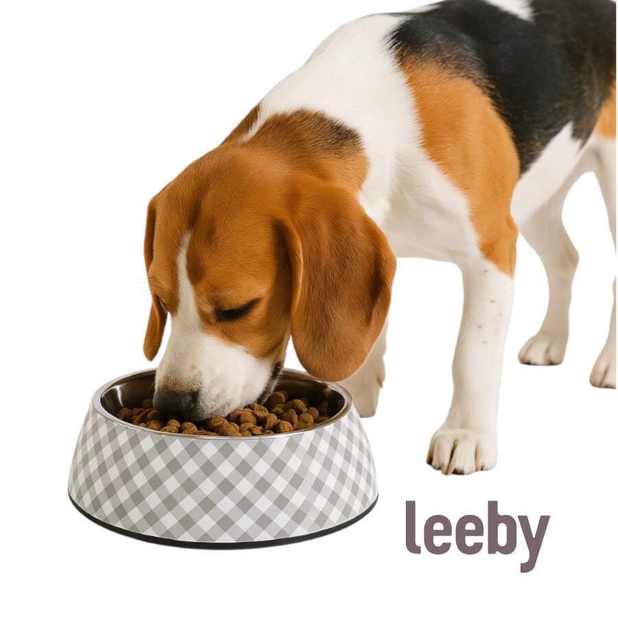 Leeby comedero acero inoxidable vichy para perros, , large indicador imagen numero 2