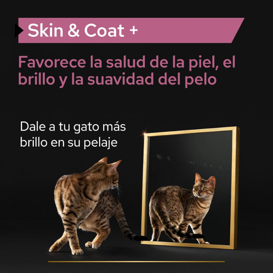 150 ml Pro Plan Skin & Coat + Aceite de Salm&oacute;n Noruego para gatos, , large Imagen numero 2