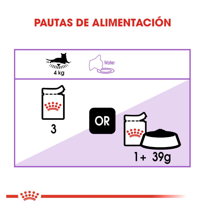 85 g Royal Canin Sterilised gelatina sobres para gato, , large indicador imagen numero 7