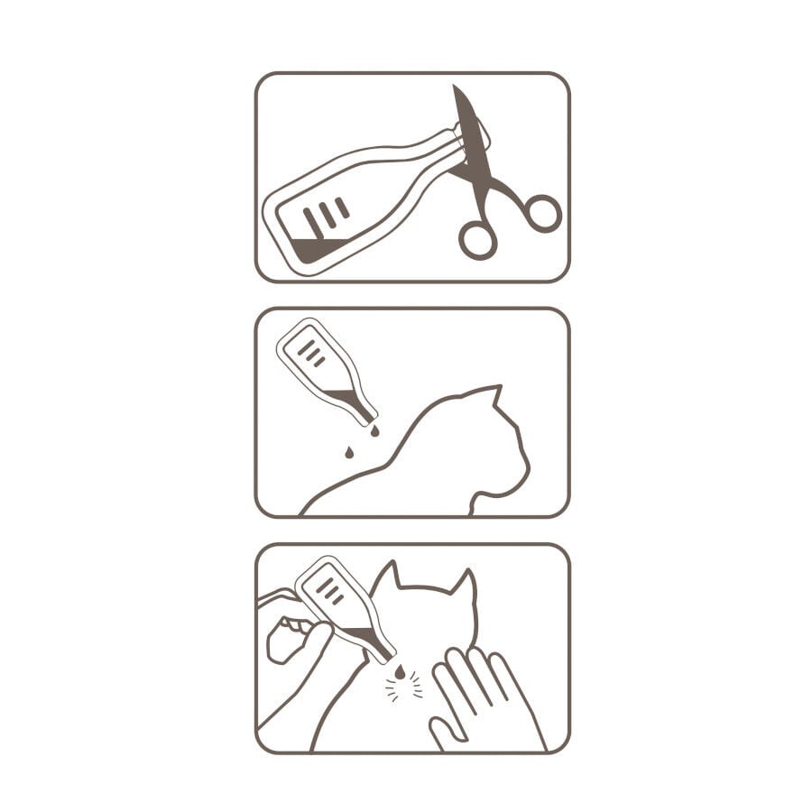Beaphar Fiprotec Pipetas Antiparasitarias para gatos, , large indicador imagen numero 6