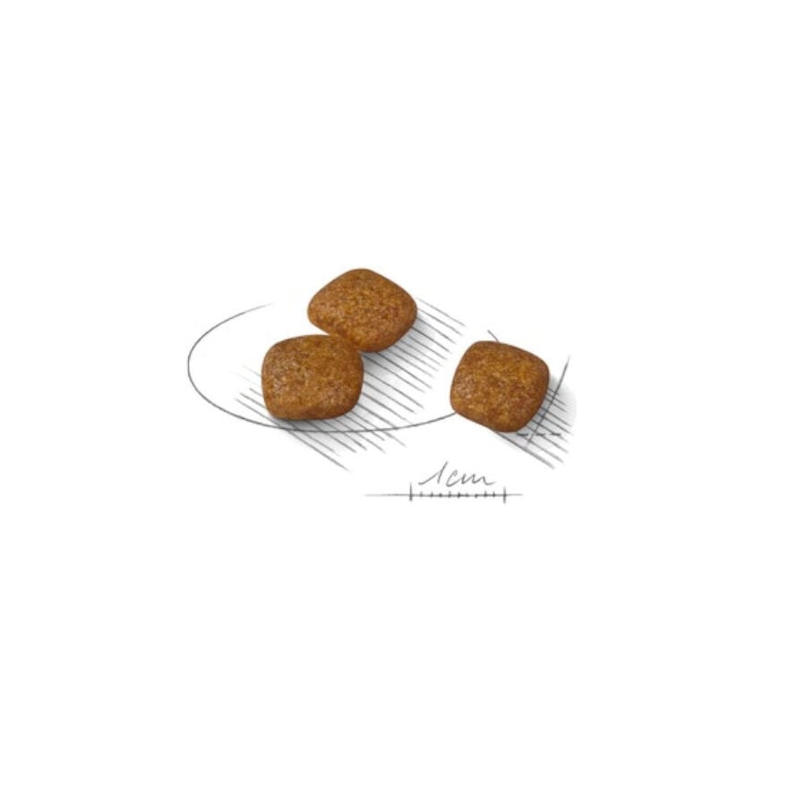3 kg Royal Canin Urinary Care Mini pienso para perros, , large indicador imagen numero 2