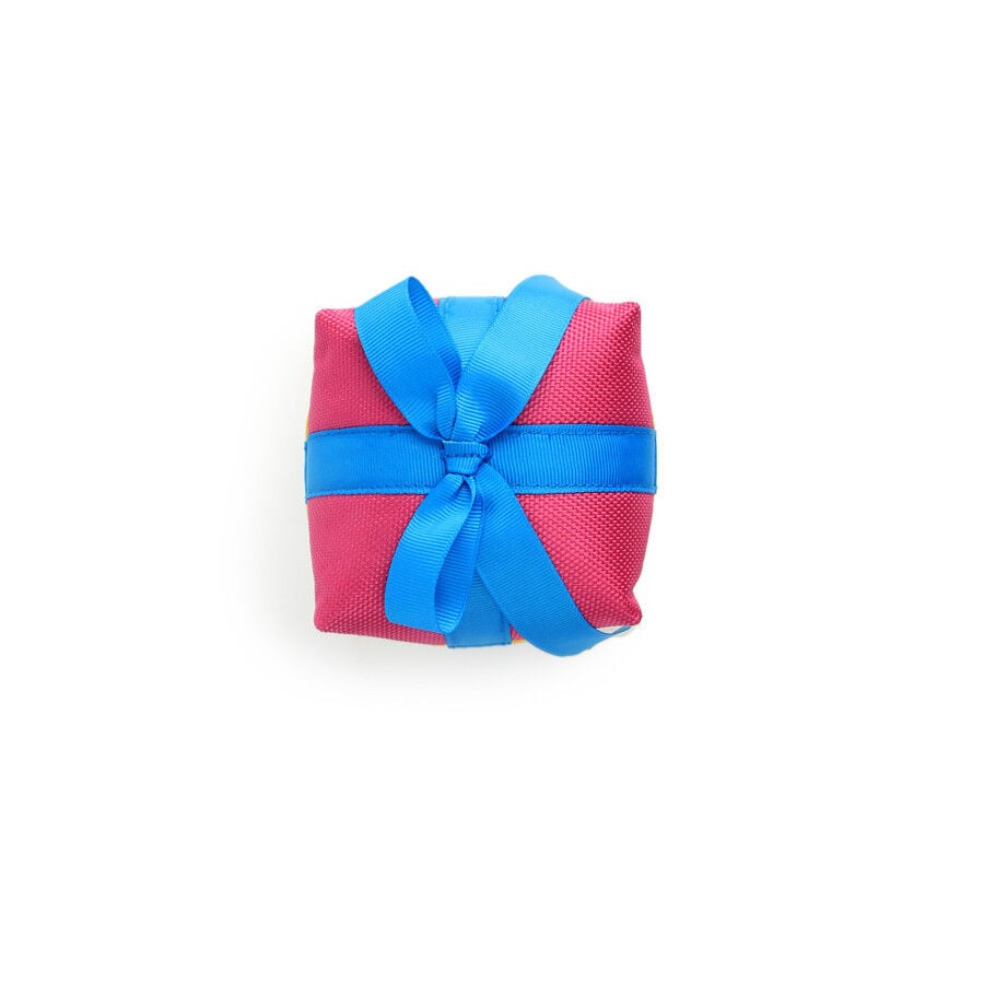 All For Paws Birthday Treasure Peluche variado para perros, , large Imagen numero 2