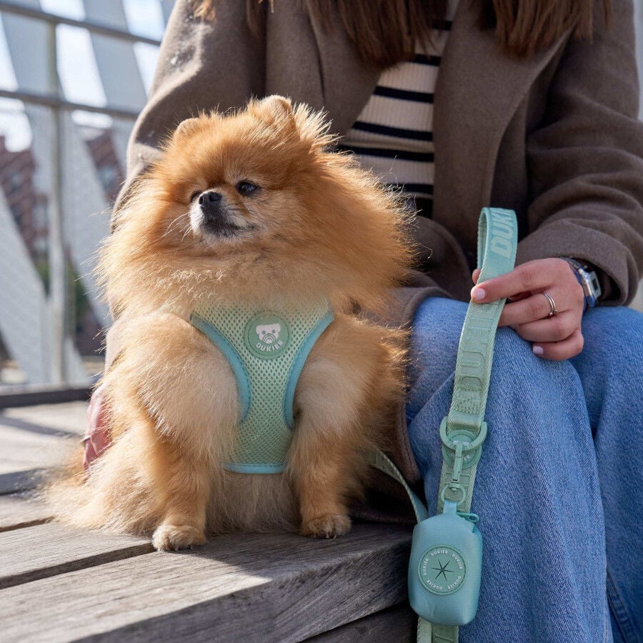 Dukier Body Essential Color Verde para perros, , large indicador imagen numero 2