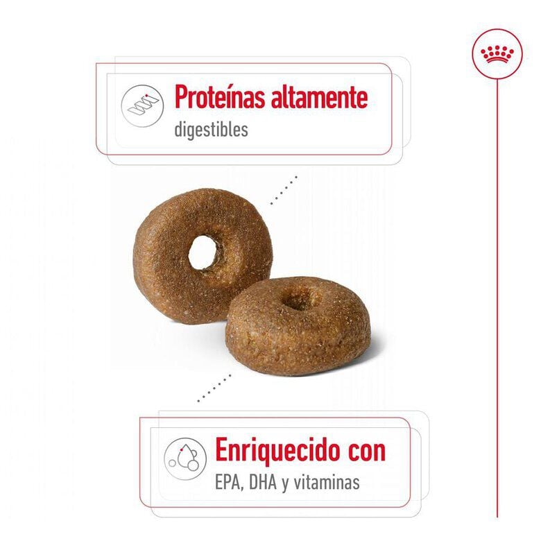 15 kg Royal Canin Maxi Ageing 8+ pienso para perros&nbsp;senior, , large Imagen numero 6