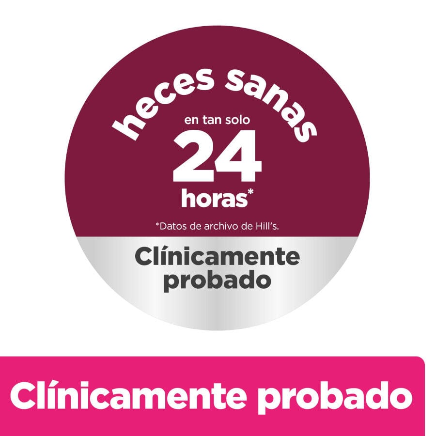 6 kg Hill's Prescription Diet Gastrointestinal Biome Mini pienso para perros, , large Imagen numero 3