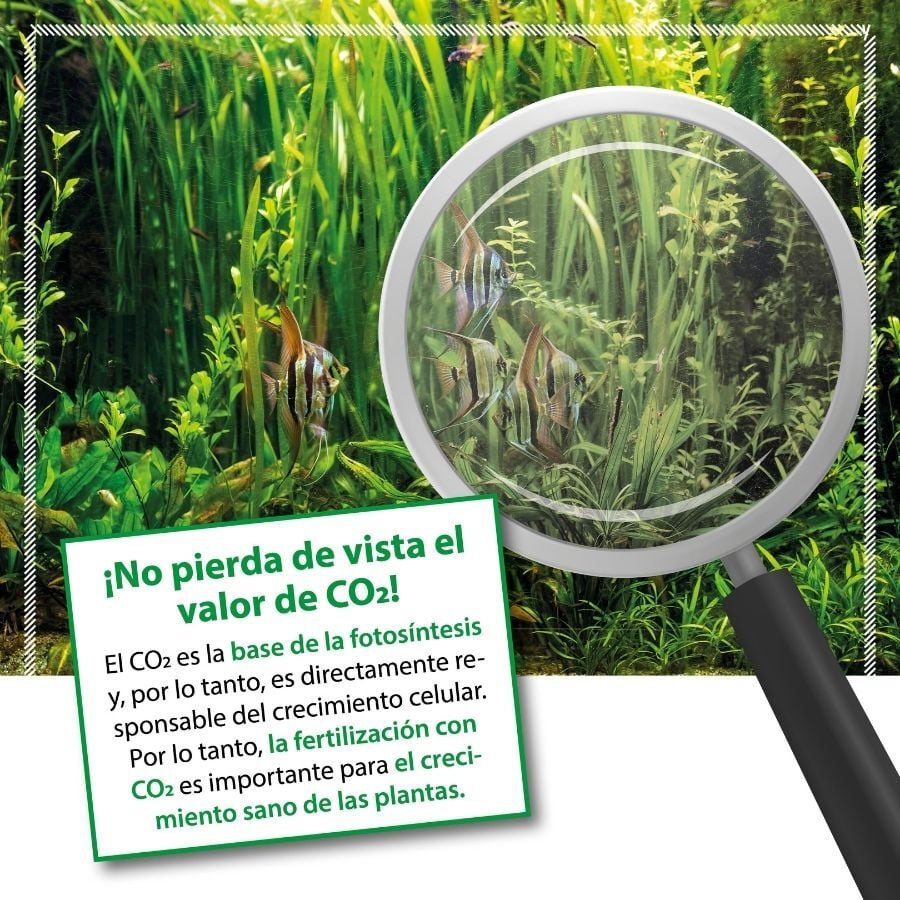 Arka Bio CO2 Fertilizante L&iacute;quido de Carbono para acuarios, , large Imagen numero 4