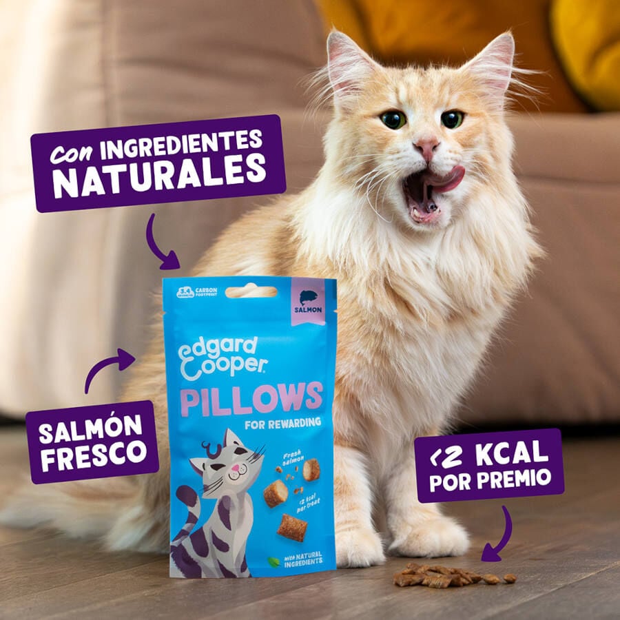 60 g Edgard & Cooper Bocaditos Pillows de salmon para gatos, , large indicador imagen numero 2