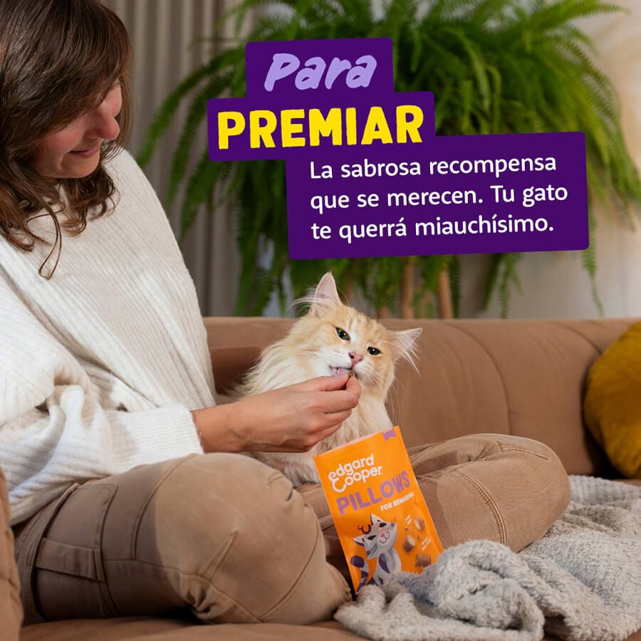 60 g Edgard & Cooper Bocaditos Pillows Pollo para gatos, , large Imagen numero 3