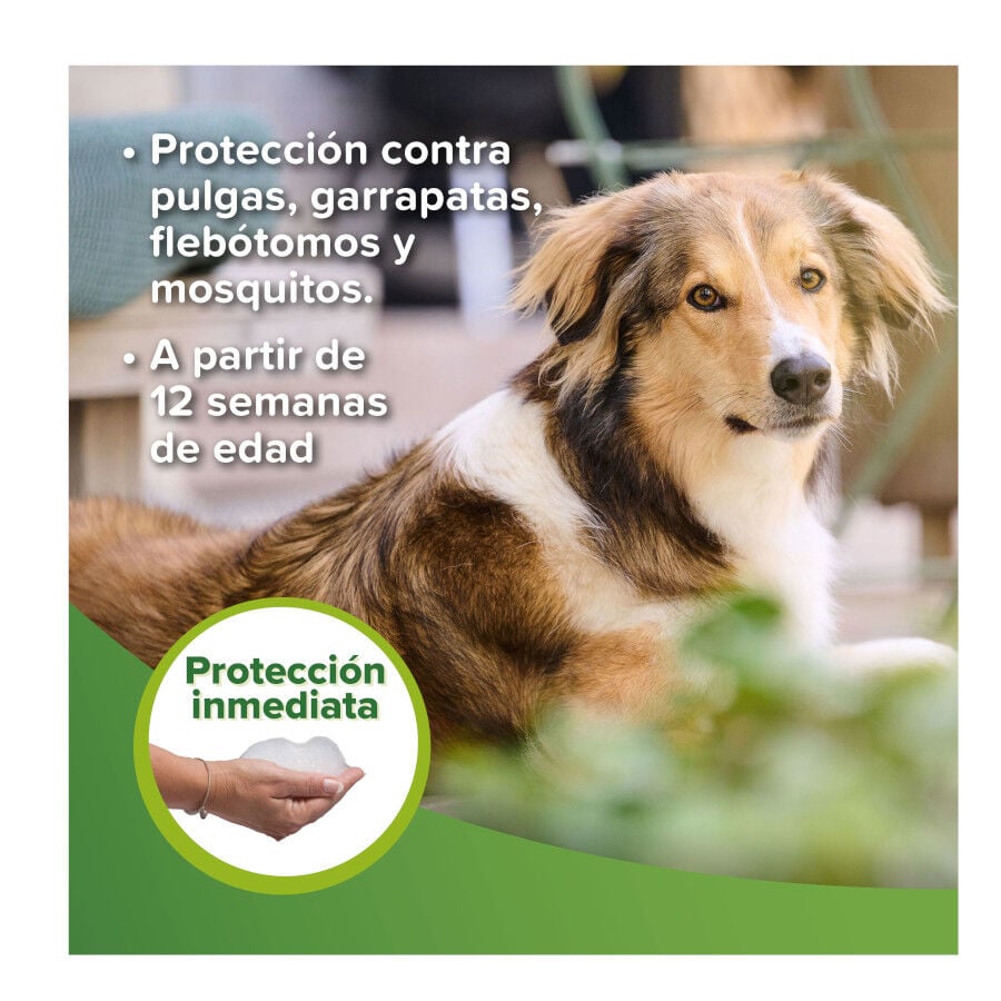 Beaphar Champ&uacute; Repelente para perros y gatos, , large indicador imagen numero 3