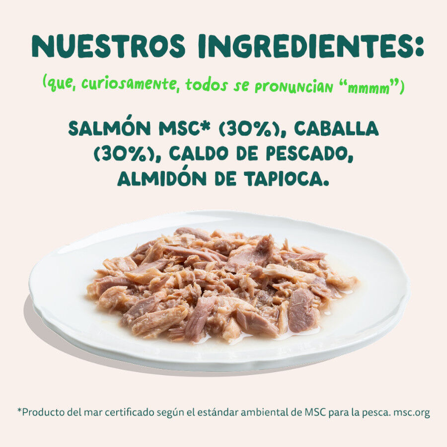 70 g Edgard & Cooper Filetes de Salm&oacute;n y Ceballa Lata para gatos, , large indicador imagen numero 6