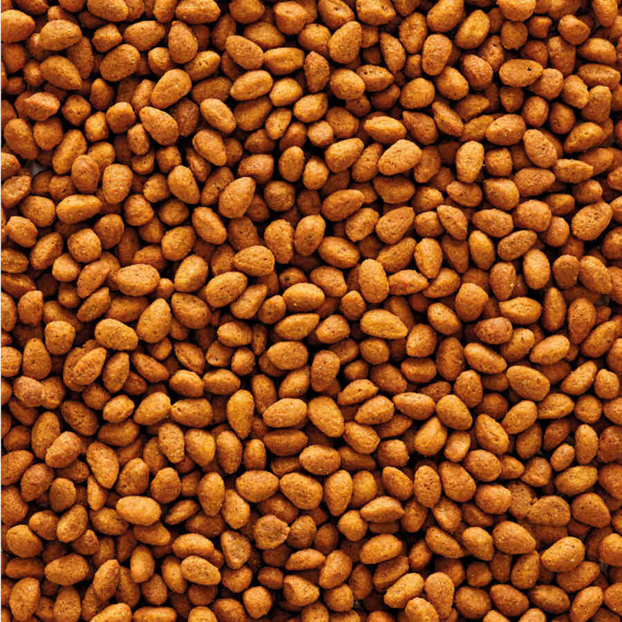 Versele-Laga NutriBird G14 Original Alimento para p&aacute;jaros, , large indicador imagen numero 2