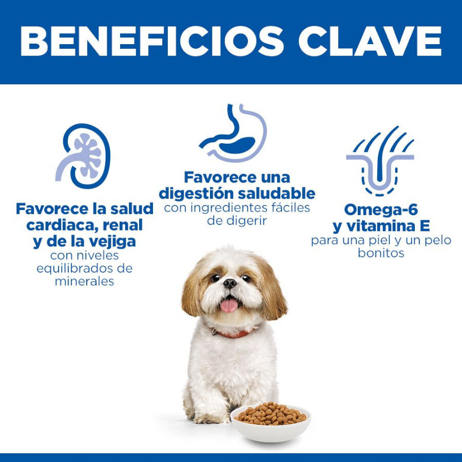 6 kg Hill's Science Plan Mature Adult Small y Mini pollo pienso para perros, , large indicador imagen numero 5