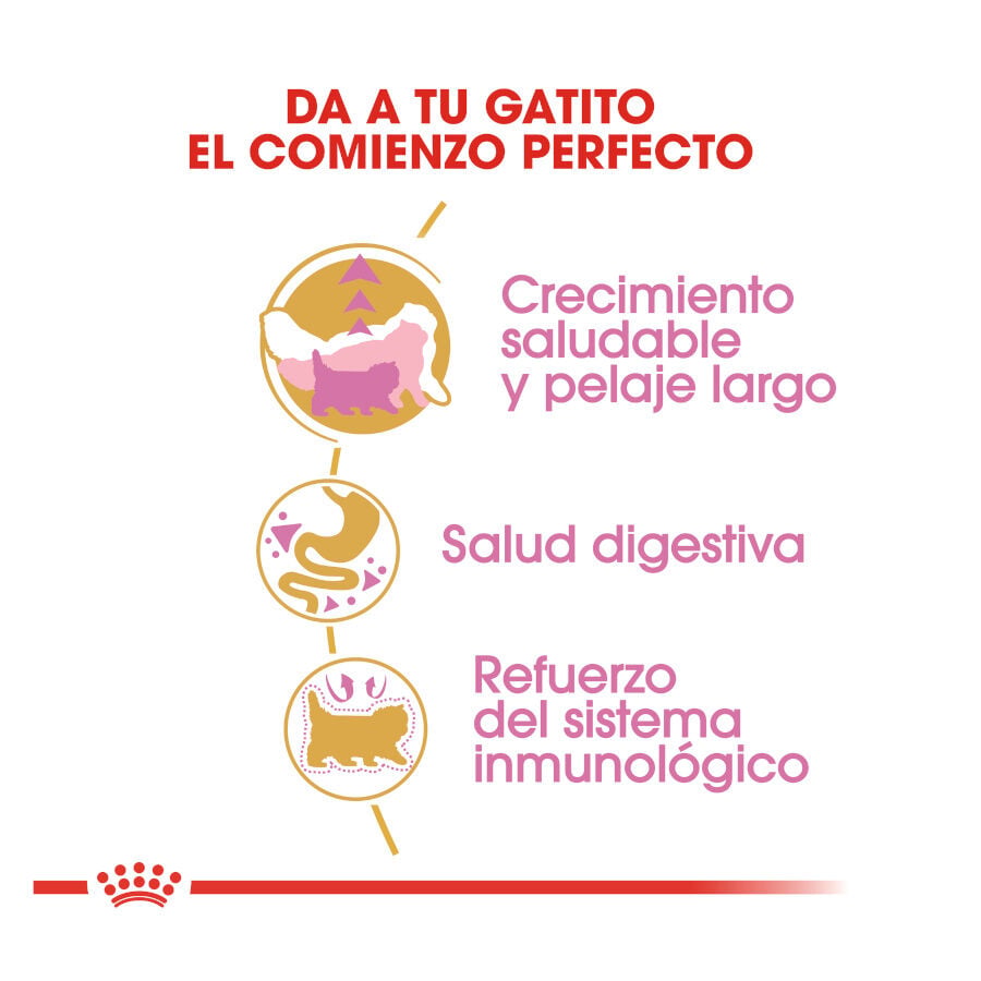 10 kg Royal Canin Kitten Persia pienso para gatos, , large indicador imagen numero 7