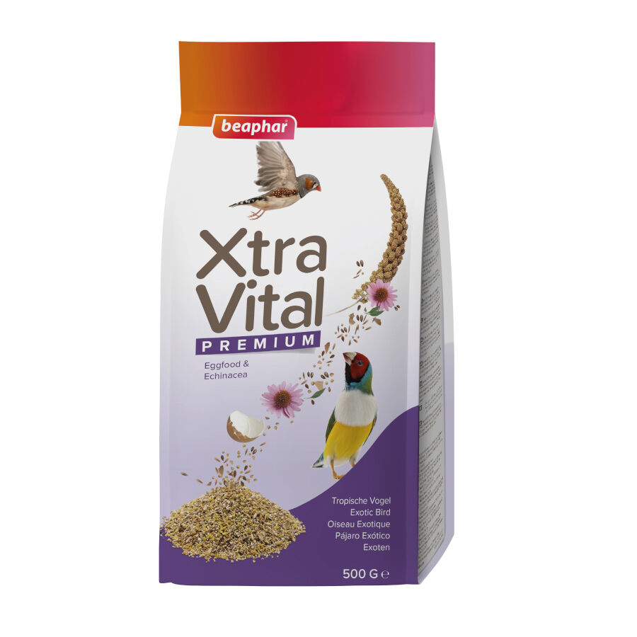 Beaphar XtraVital Premium Mixtura de Semillas para p&aacute;jaros ex&oacute;ticos