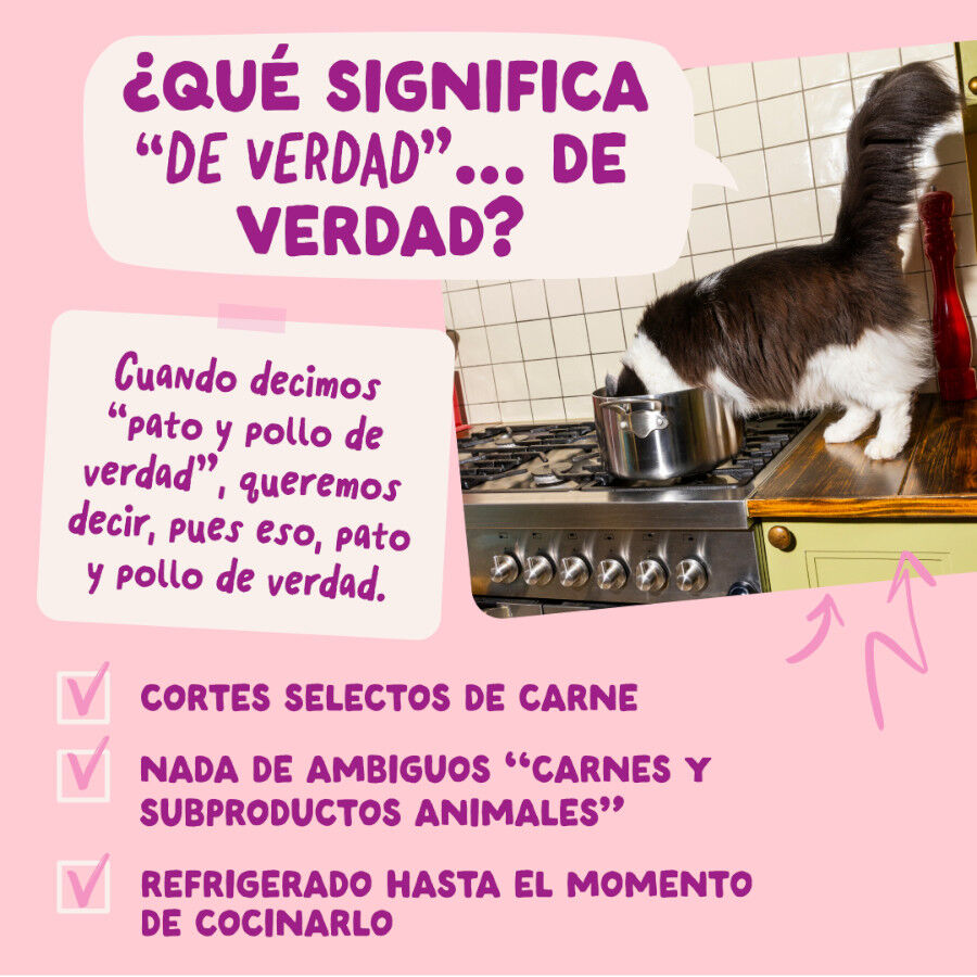 85 g Edgard & Cooper Kitten Pato y Pollo sobre en salsa para gatos, , large indicador imagen numero 5