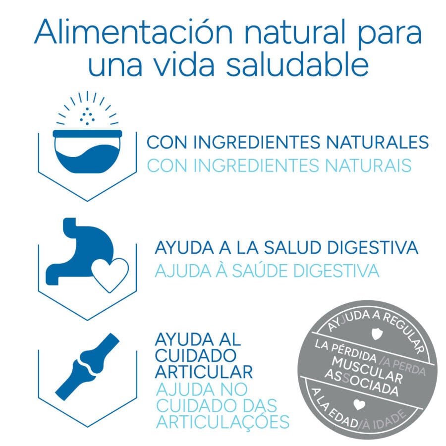 2 kg Criadores Cient&iacute;fico Mature +7 Pollo pienso para gatos, , large indicador imagen numero 6