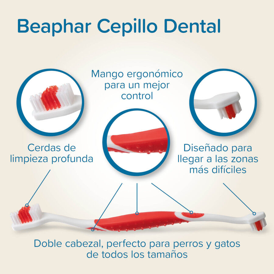 Beaphar Pack Dental Pasta y Cepillo para Perros y Gatos, , large Imagen numero 6
