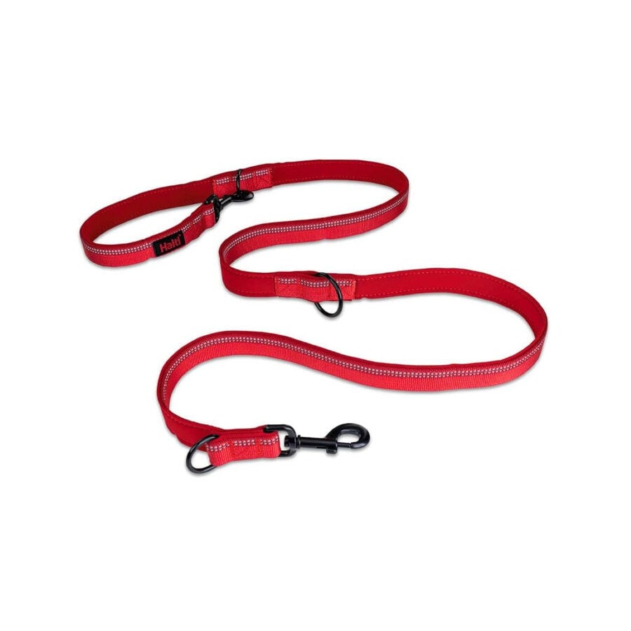 Halti correa de doble enganche roja para perros, , large indicador imagen numero 1