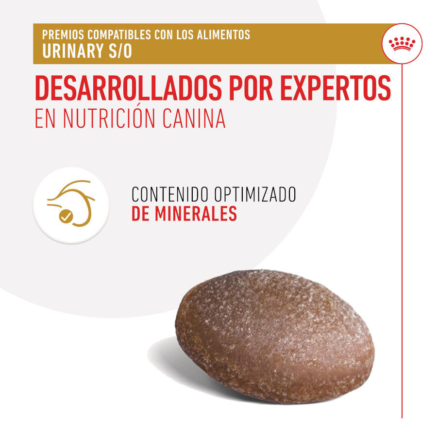 230 g Royal Canin Treats Urinary Snacks para perros, , large Imagen numero 7