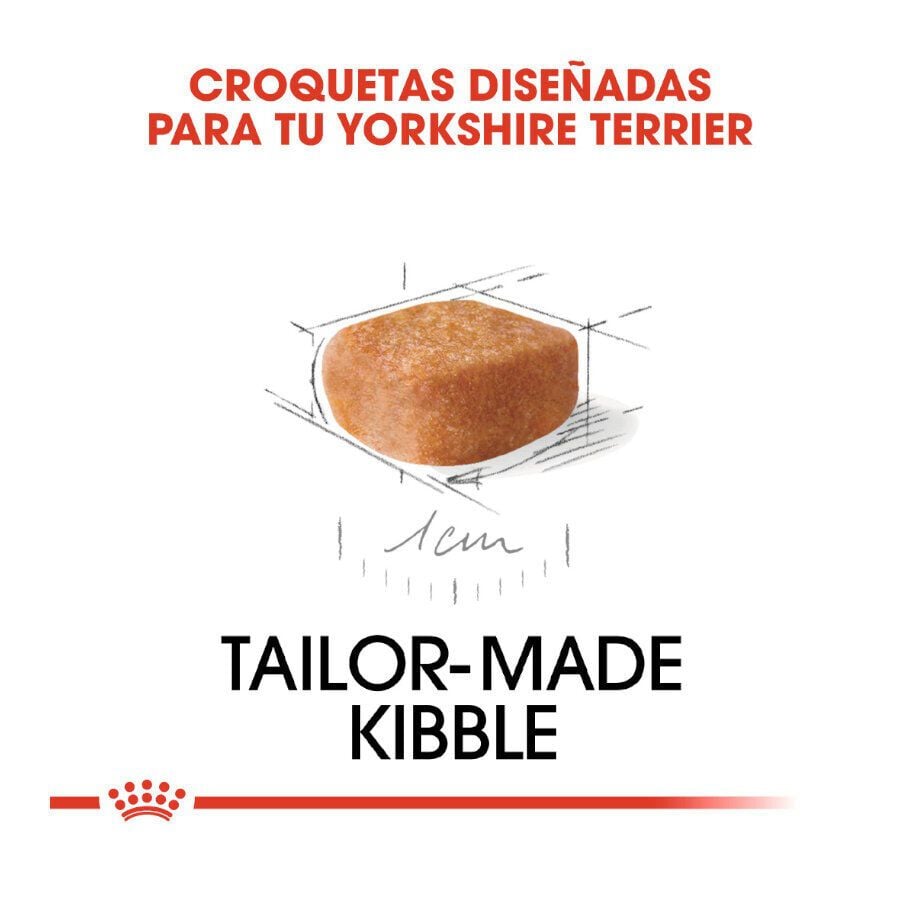 7.5 kg Royal Canin Puppy Yorkshire Terrier pienso para perros, , large indicador imagen numero 4