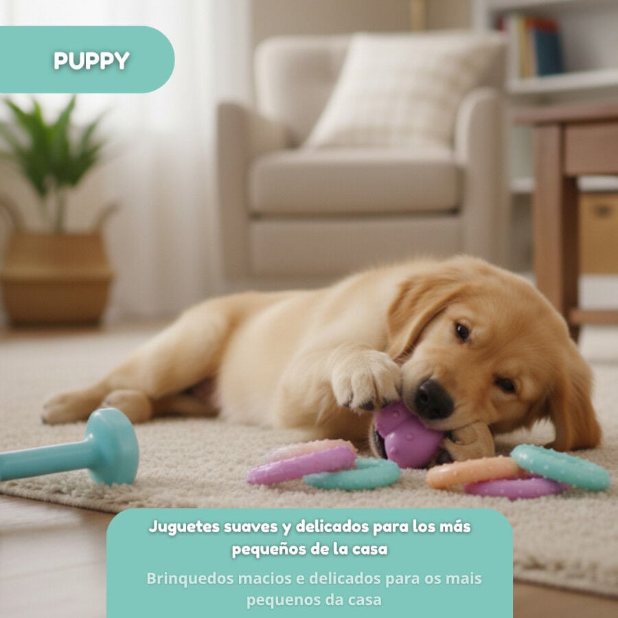Tootoy! Pack de Mordedores para cachorros, , large Imagen numero 5