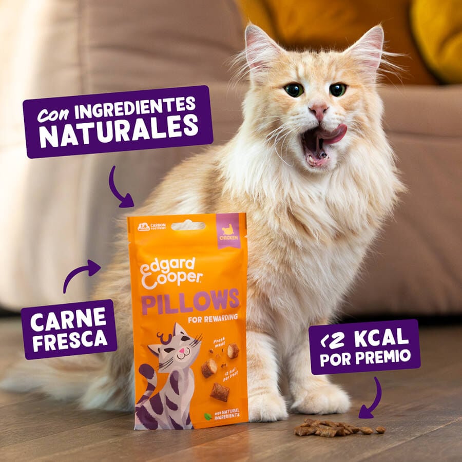 60 g Edgard & Cooper Bocaditos Pillows Pollo para gatos, , large Imagen numero 2