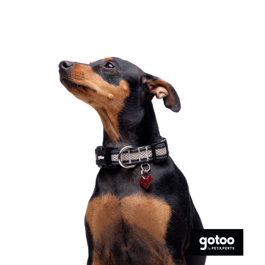 Gotoo Collar de malla transpirable gris para perros, , large indicador imagen numero 6