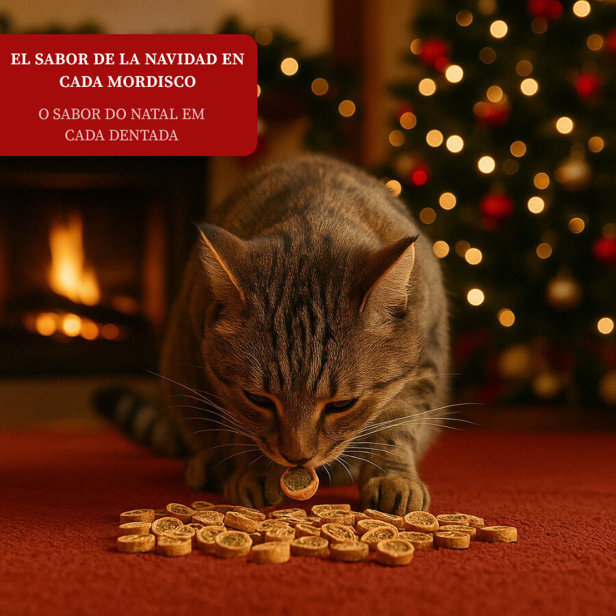 50 g Wonder Christmas Caja de Bocaditos Navide&ntilde;os para gatos, , large Imagen numero 4