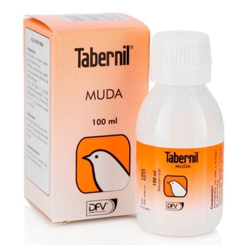 Tabernil Muda antica&iacute;da de plumas 