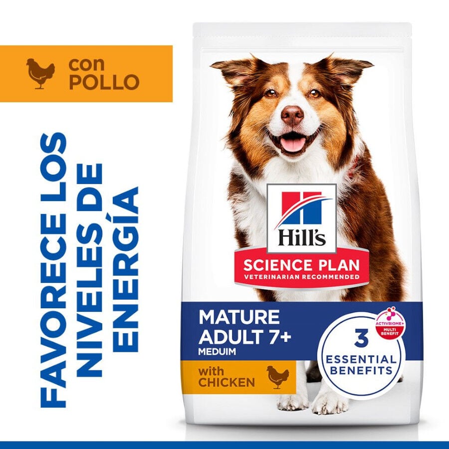 Hill's Science Plan Mature Adult Medium pienso pollo para perros de razas medianas