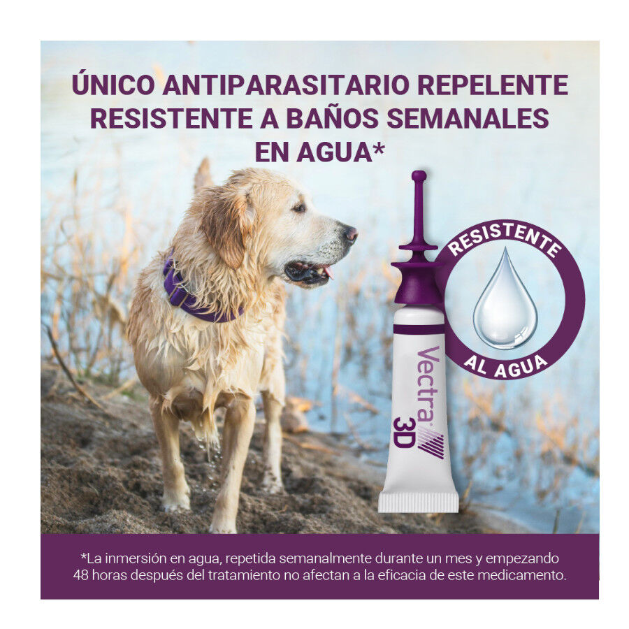 Vectra 3D Pipetas Antiparasitarias para perros, , large indicador imagen numero 10